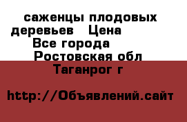 саженцы плодовых деревьев › Цена ­ 6 080 - Все города  »    . Ростовская обл.,Таганрог г.